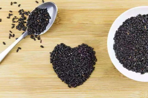 养生新风尚 黑科时代重磅推出陈皮内金丸与黑芝麻丸