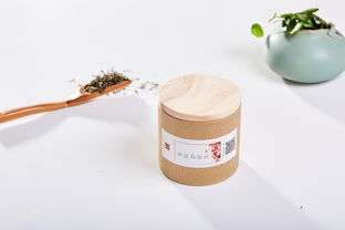 《背包寻味 碧螺春的旅程》——黑科时代与千年茶香的相遇